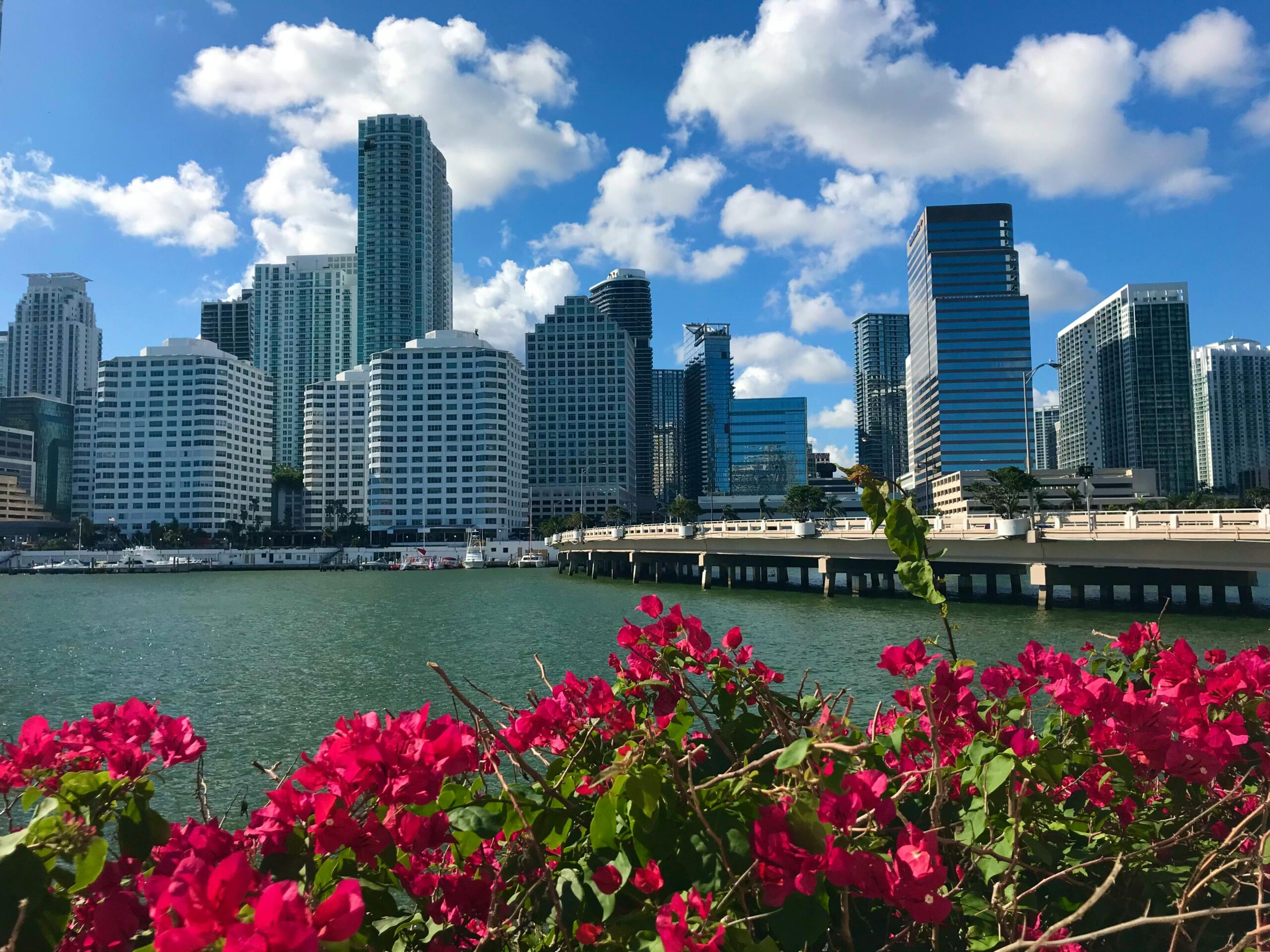 Should You Move to Florida When You Retire?
