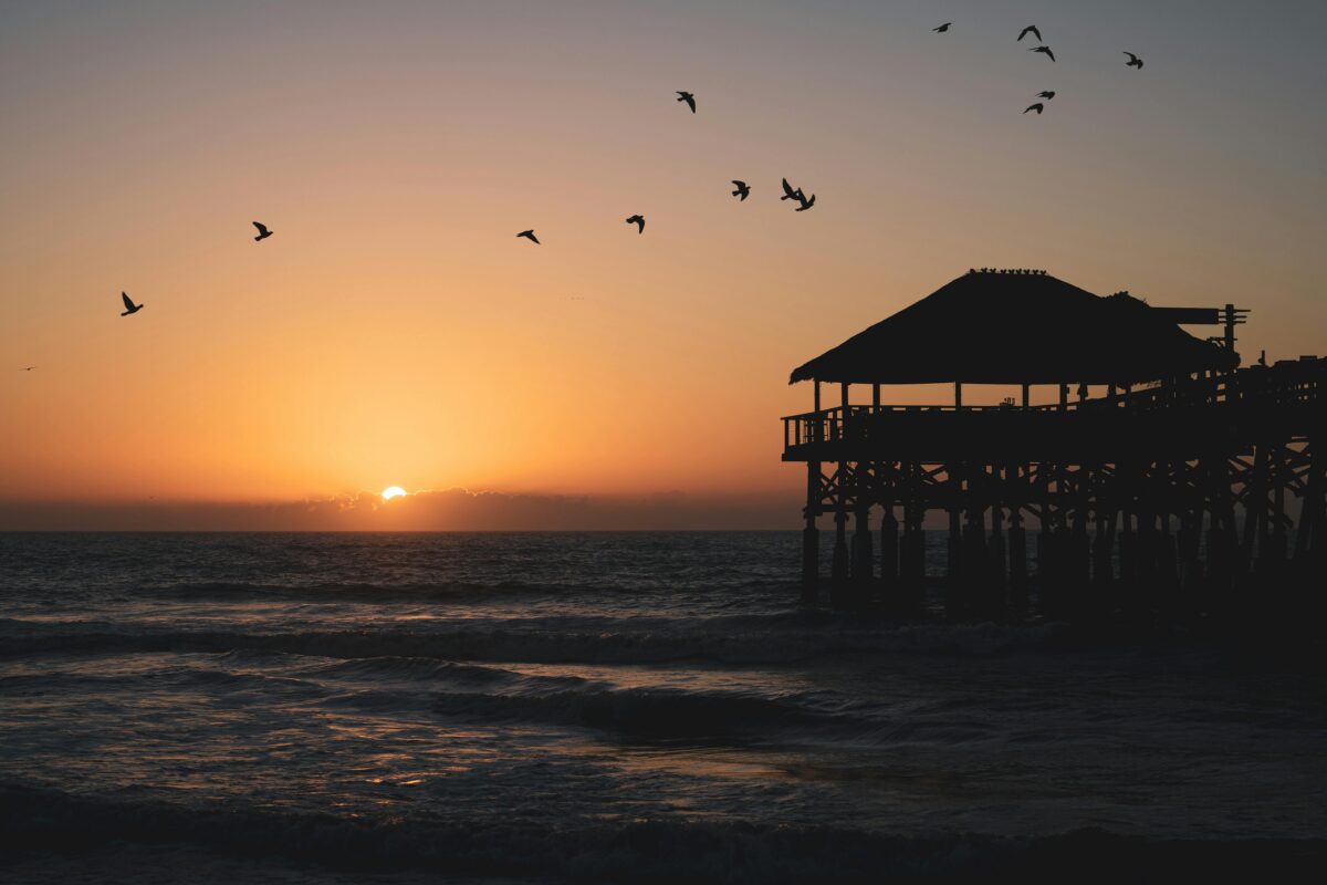 Do Retirees Pay Taxes in Florida? Everything You Need to Know